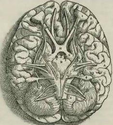 Memory Improvement Games